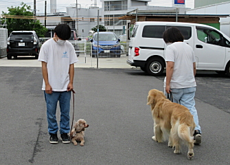 しつけ方教室（5・6回）