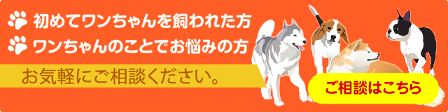 初めてワンちゃんを飼われた方、ワンちゃんのことでお悩みの方、お気軽にご相談ください。