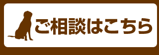 ワンちゃんのことで困ったら